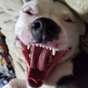 Meet your Posher, Shelllee